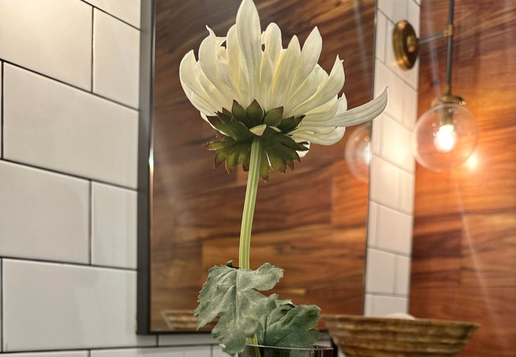 Exploring Black Venture Capital with Bank of&nbsp;America